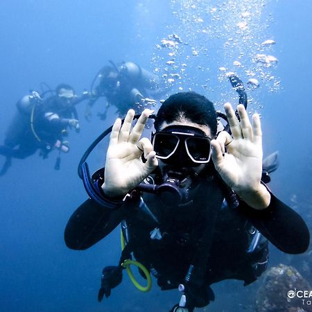 Ocean Lovers Hostel & Apartments 塔甘加 外观 照片