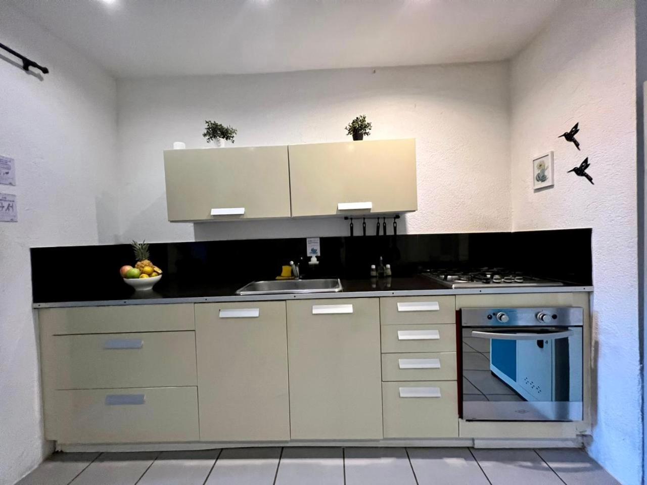 Ocean Lovers Hostel & Apartments 塔甘加 外观 照片